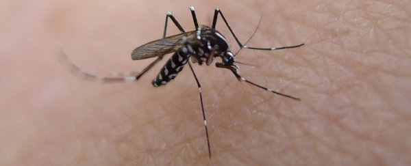Diagnosis of untreatable Zika virus in Houston is a cause for concern, experts say
