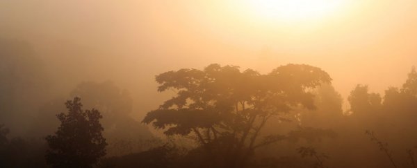 If CO2 emissions keep up, Earth is headed back to the Triassic period – or worse