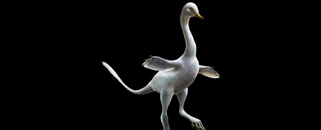 Newly Discovered Duck-Like Dinosaur Had a Neck Like a Goose And ...