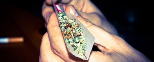 Scientists just figured out how much weed there is in your joint