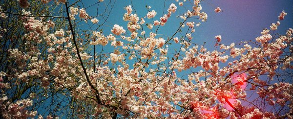 Our perception of colour changes as seasons change, study finds
