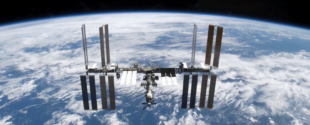 Living Bacteria From Outer Space Have Been Found On The Outside Of The Iss Living Bacteria From Outer Space Have Been Found On The Outside Of The Iss