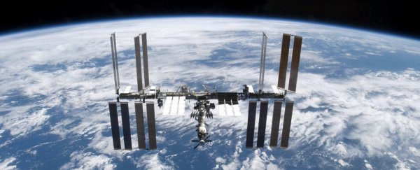 Living bacteria "from outer space" have been found on the outside of the ISS