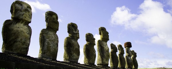 Sweet potatoes suggest Easter Island had more people than previously thought