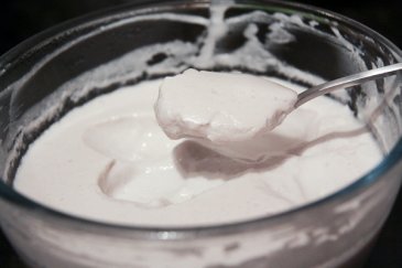 A researcher tried to make yoghurt from vaginal bacteria, because science