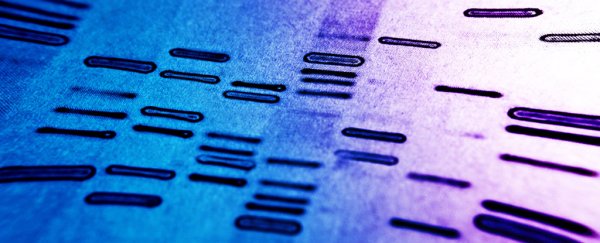 Gene editing just became more precise and powerful than ever before