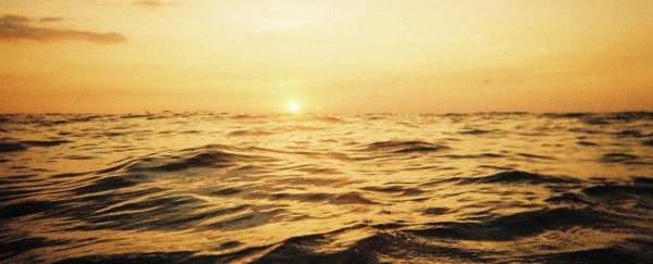 Last time the ocean was this hot, sea levels got up to 9 metres higher