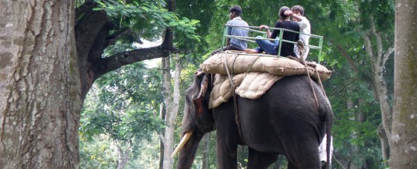 TripAdvisor will no longer sell tickets for cruel or exploitative animal attractions