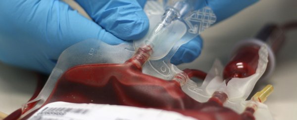 Scientists have rejuvenated old mice with the blood of human teenagers