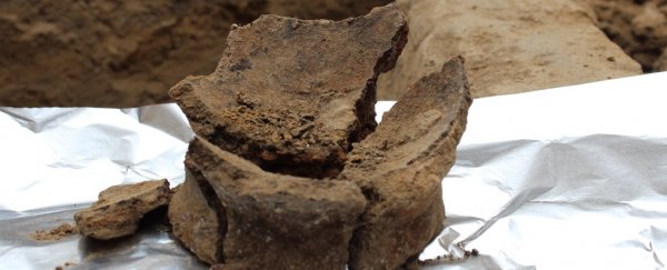 8,000-year-old pottery shards reveal traces of the world's oldest wine