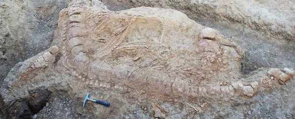 This incredible 150-million-year-old Jurassic 'sea monster' was just unearthed in India
