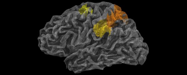 Scientists just found the part of our brain that actually gets physics