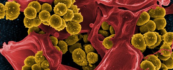 This device can diagnose 1,000 pathogens in your blood in 6 hours