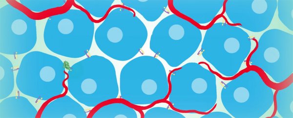 Scientists have developed a new kind of protein that induces cancer cells to self-destruct