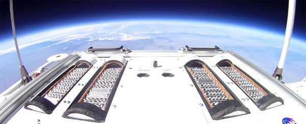 Stowaway bacteria could be even more contagious in space than we thought