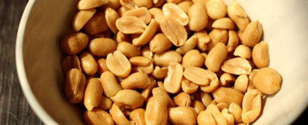 Hospital admissions for dangerous food allergies continue to rise, research shows
