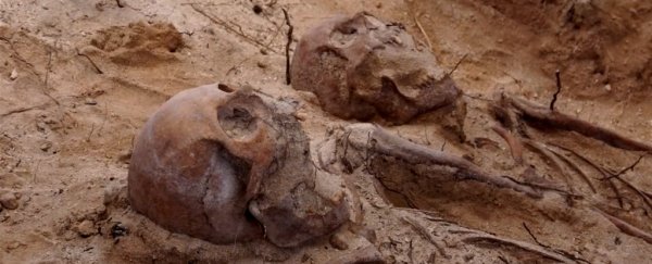 Mass grave discovered from gruesome 400-year-old shipwreck on 'Murder Island'