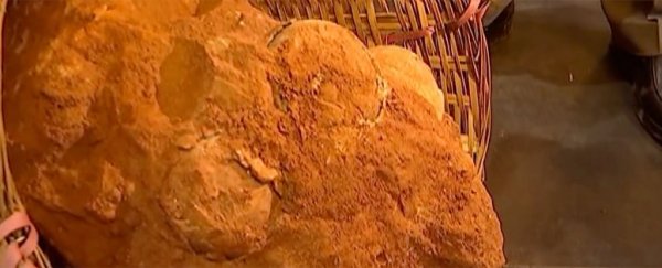 70 million-year-old dinosaur egg fossils have been discovered in China