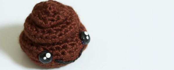 Poo transplants can eliminate two superbugs from the gut: mice study