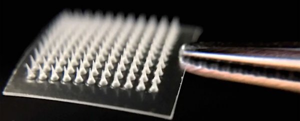 This needle-covered patch dissolves excess body fat wherever you stick it