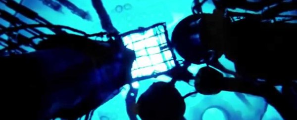 WATCH: This is how a research nuclear reactor works