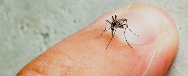 Florida just announced that mosquitoes are probably transmitting Zika in the US
