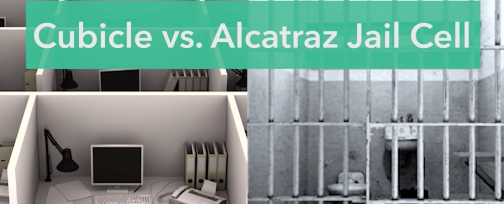 What's Dirtier - Your Office or an Alcatraz Jail Cell? : ScienceAlert