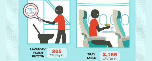 This infographic shows the dirtiest places on aeroplanes