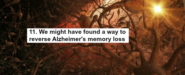 15 really good things happening in science right now