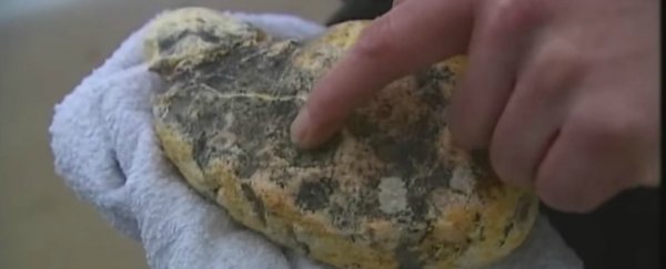 Lucky fishermen have stumbled across a $3 million lump of whale vomit
