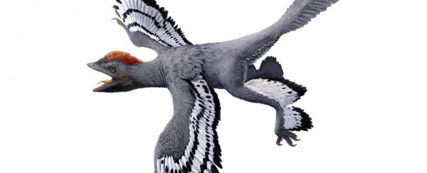 We just got the most detailed impression of a dinosaur's flesh yet