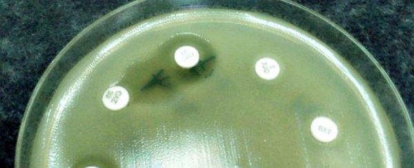 Scientists just announced our best shot at ending antibiotic resistance to date