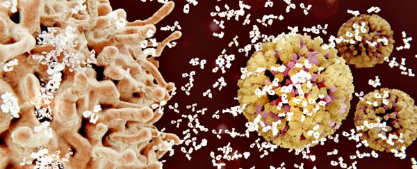 Newly Engineered Antibody Can Fight Back Against 99% of HIV Strains