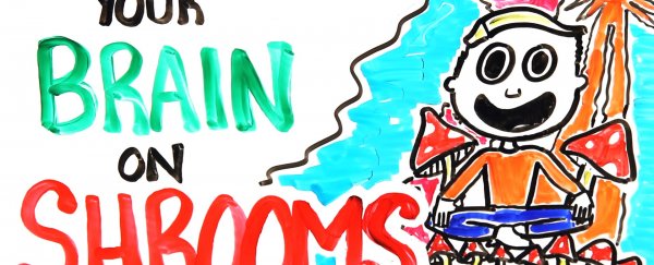 WATCH: This is your brain on magic mushrooms