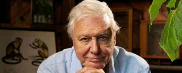 David Attenborough has an important warning about human population