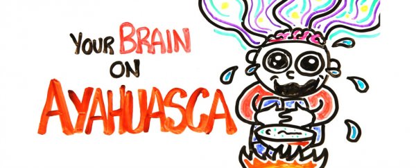 The science of the hallucinogenic drug ayahuasca