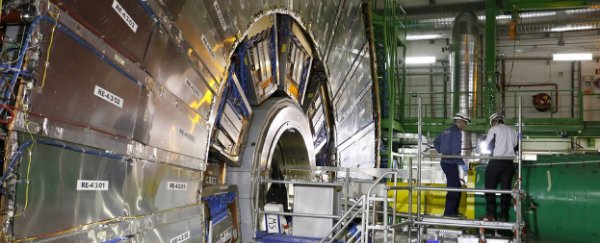 The Large Hadron Collider has observed two brand new particles