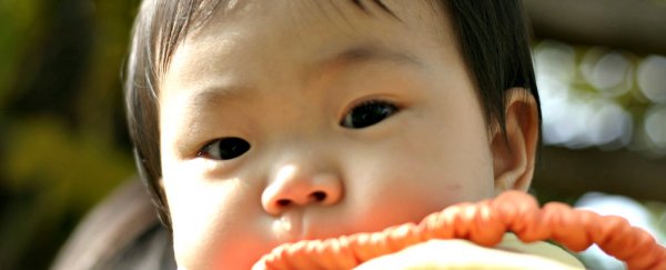 Why can't we remember anything from when we were babies?