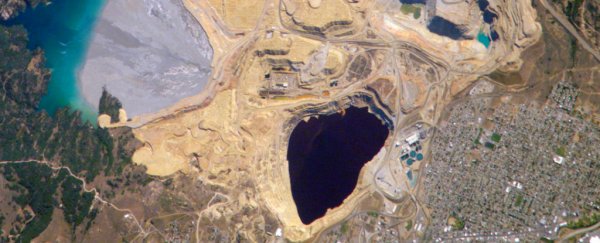 Fungi from a toxic mine pit have teamed up to produce a new type of antibiotic