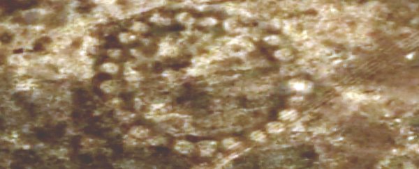NASA can't explain who made these huge, 8,000-year-old structures in Kazakhstan
