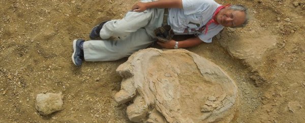 One of the biggest dinosaur footprints EVER has just been unearthed