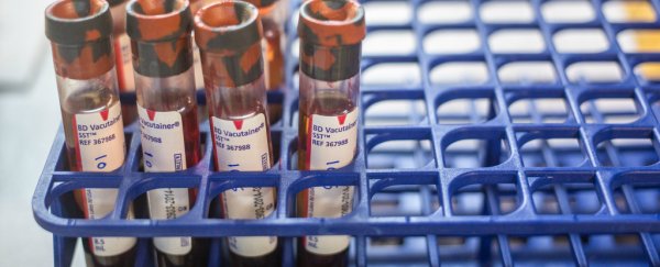 New evidence suggests a change of diet could help blood cancer and transplant patients