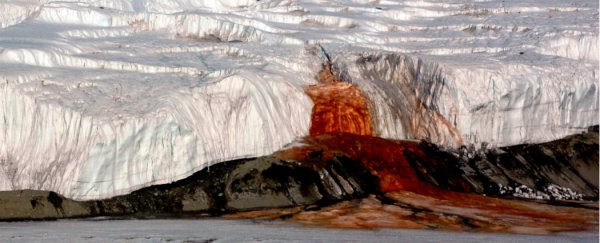 First samples collected from under Antarctica’s blood falls