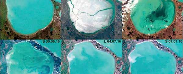 Photos reveal more than 200 bright blue Arctic lakes have started bubbling with methane gas