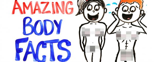 Watch: Mind-blowing facts about your body