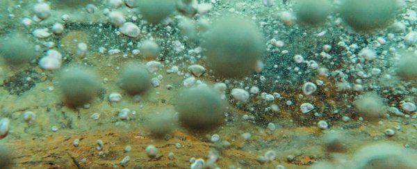 Scientists found a mysterious 'boiling' river straight out of Amazonian legend