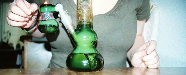 Huge study shows that teens smoke less weed the more it's legalised