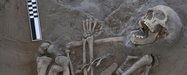 Archaeologists think they've found an 800-year-old boomerang victim
