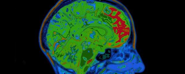 Yeast infections have been linked to mental illness