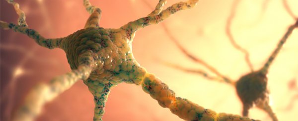 Cancer drug clears Alzheimer's-related plaques and improves memory function in mice